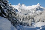 Mount Fee kdysi bejvala sopka s parádním kráterem, než poslední výbuch rozházel půlku kráteru po okolí.